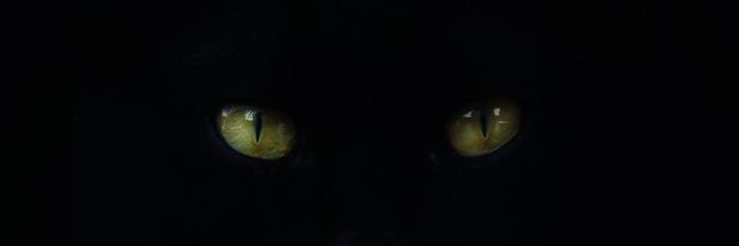 queenmac_'s profile banner image