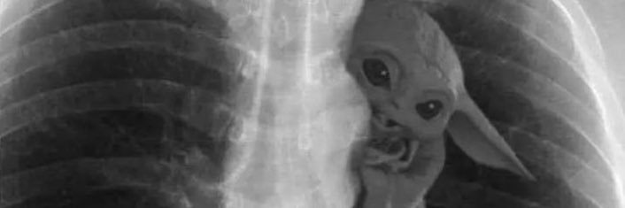 russian baby hyioda banner