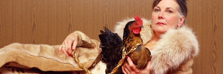 🕷Jessie Janeshek🕷 banner