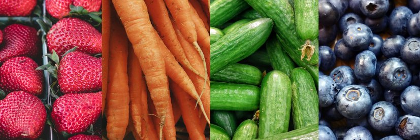 LPS Nutrition banner