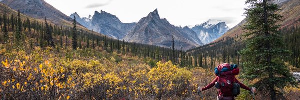 BrazenBackpack Profile Banner