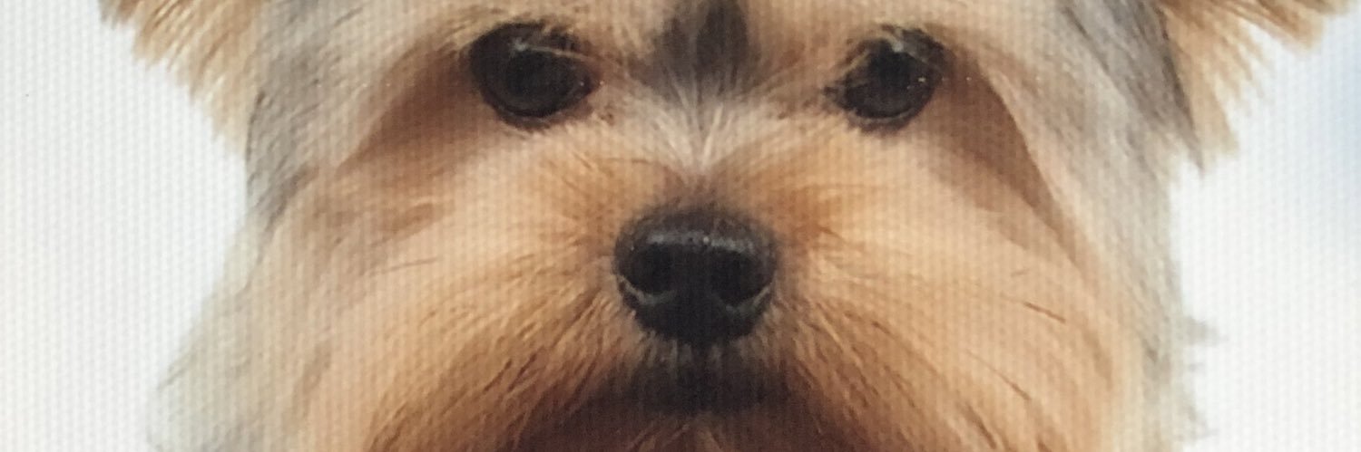 _mariareese's profile banner image