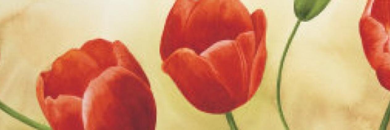 adelynas's profile banner image