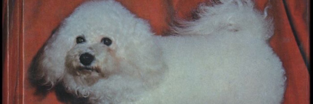 boywillowsmusic's profile banner image