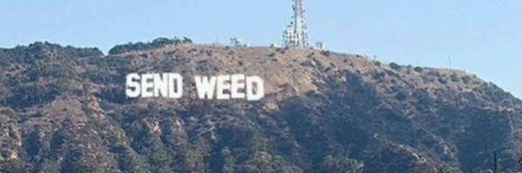 ... banner