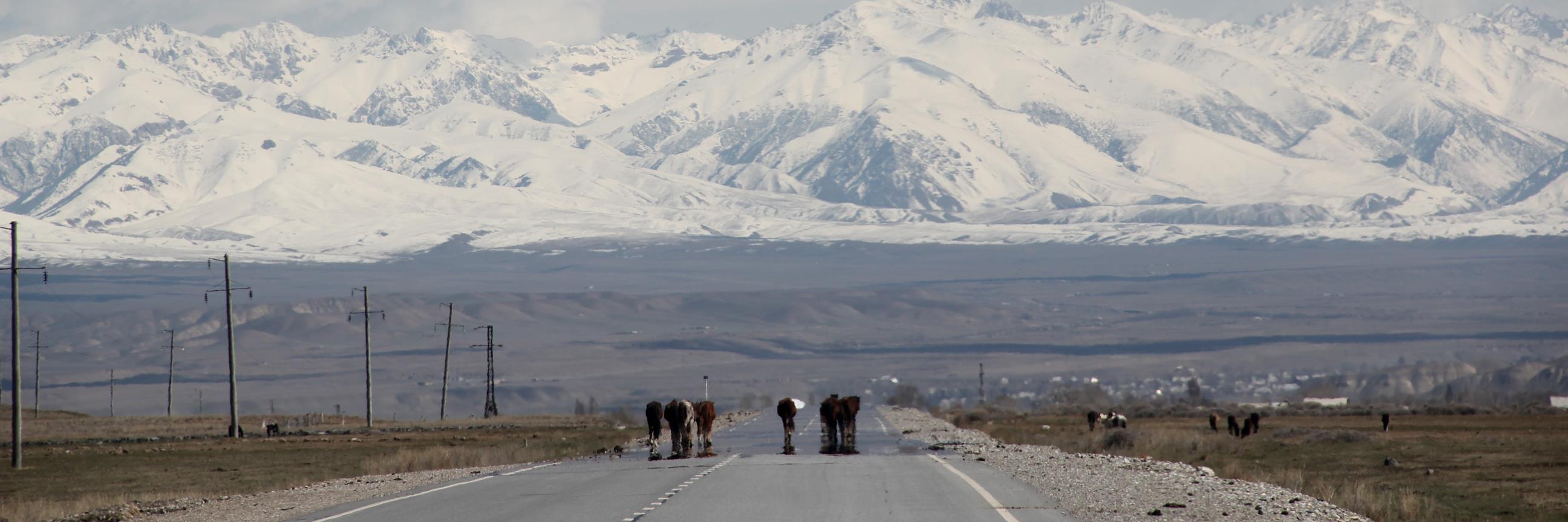 Abatech Inc - with Geoff Rowe banner