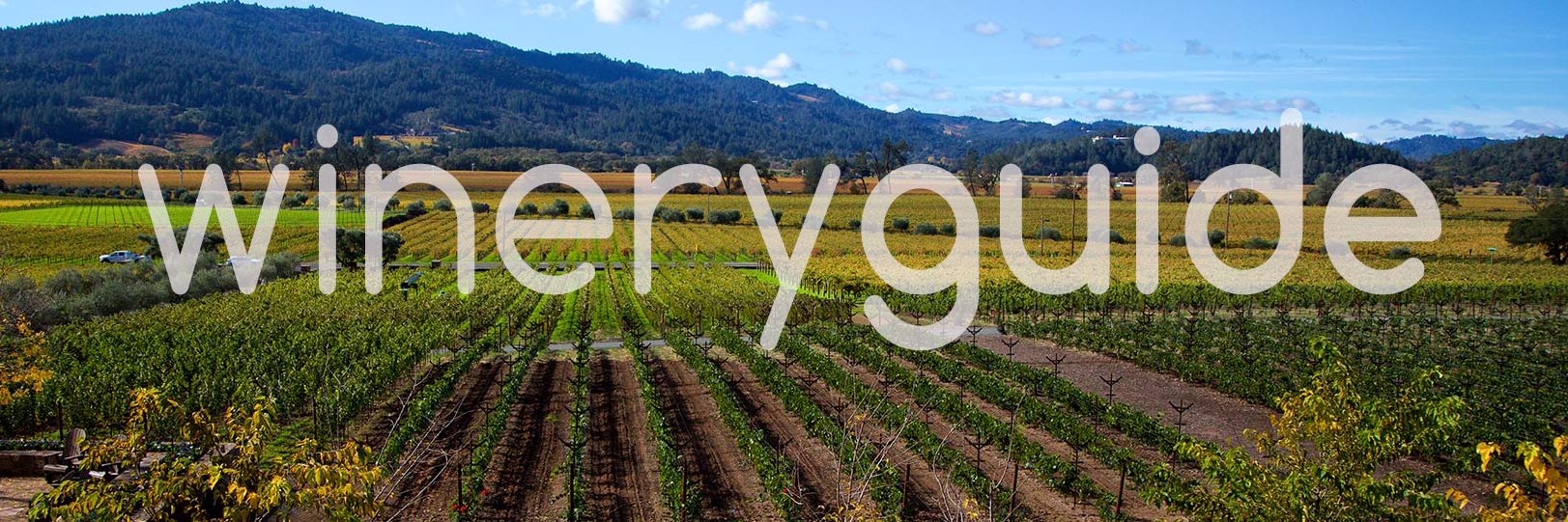 napawineryguide's profile banner image