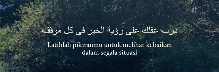 Sasa🍃 banner