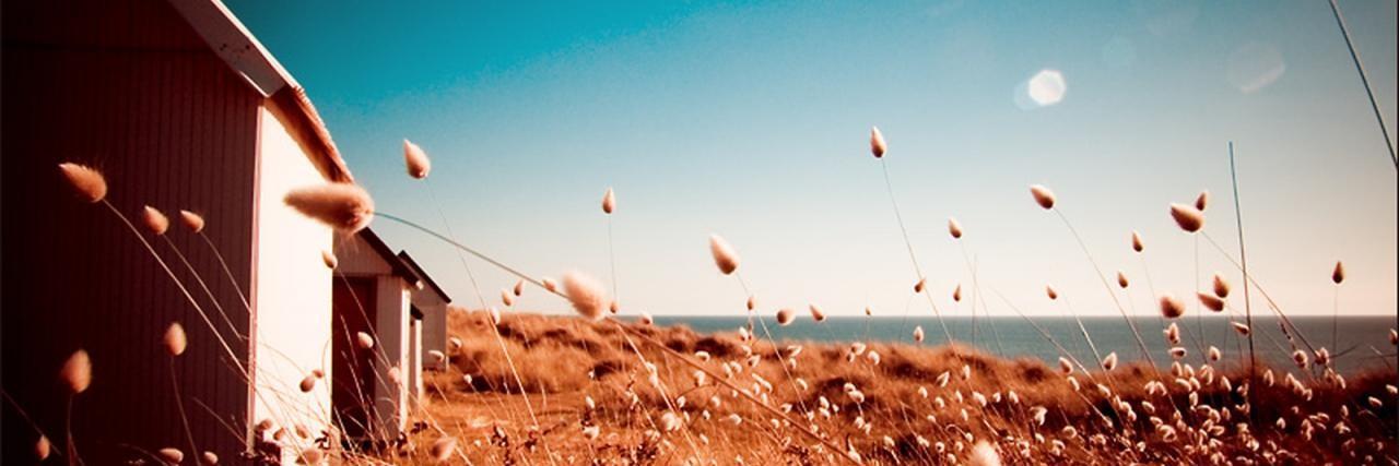 williamsoo's profile banner image