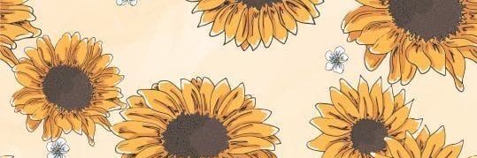 SamCastilloR's profile banner image