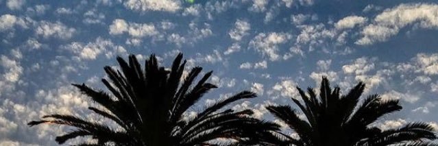 _paulin5's profile banner image