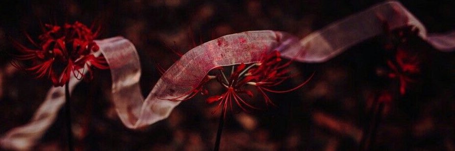 𝐦𝐲𝐭𝐡🥀's banner