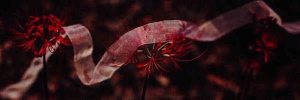 eternalorphic Profile Banner
