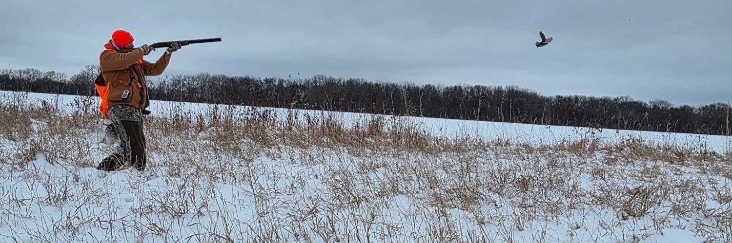 dbiscuits45's profile banner image