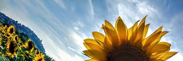 Annetih9's profile banner image