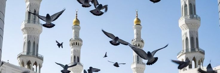 Fatima1sfqa's profile banner image