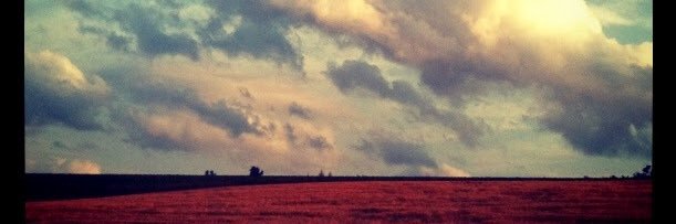 Robin_bleu's profile banner image