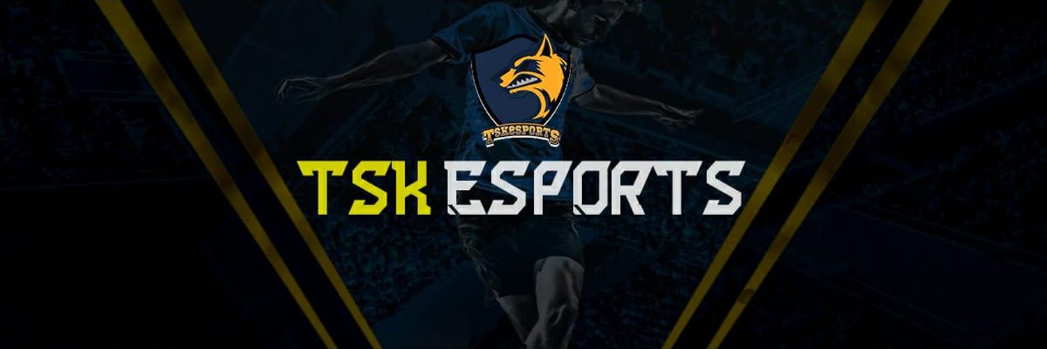 TsK eSports Profile Banner