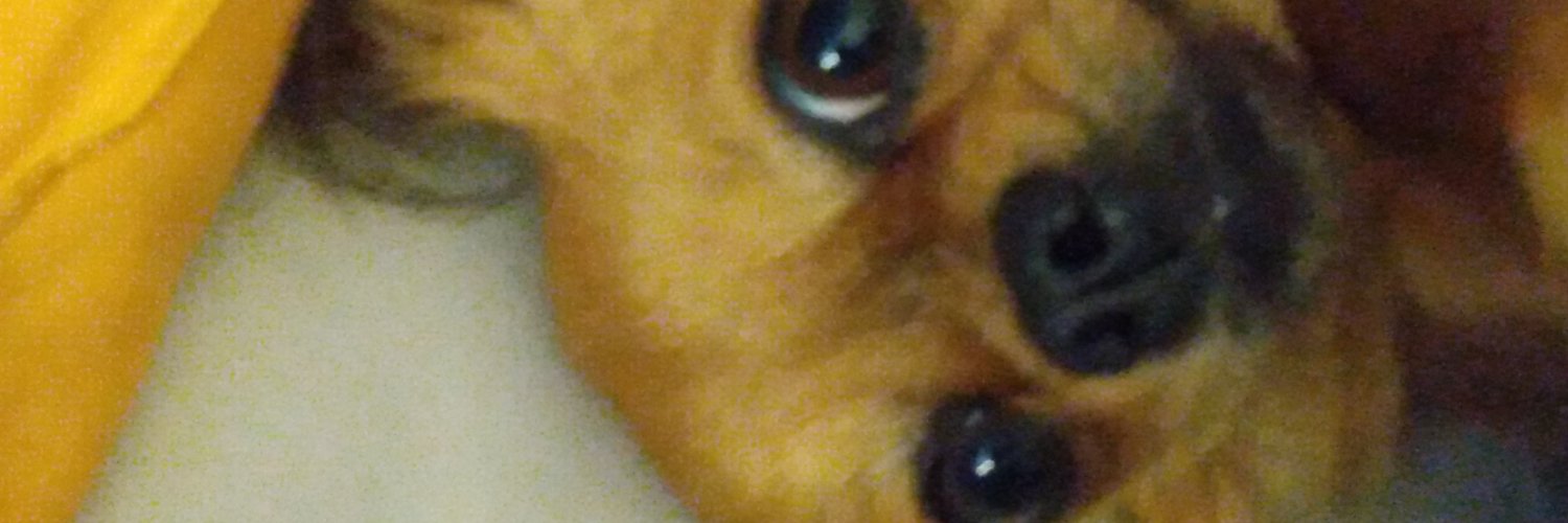 SusanaVerta's profile banner image