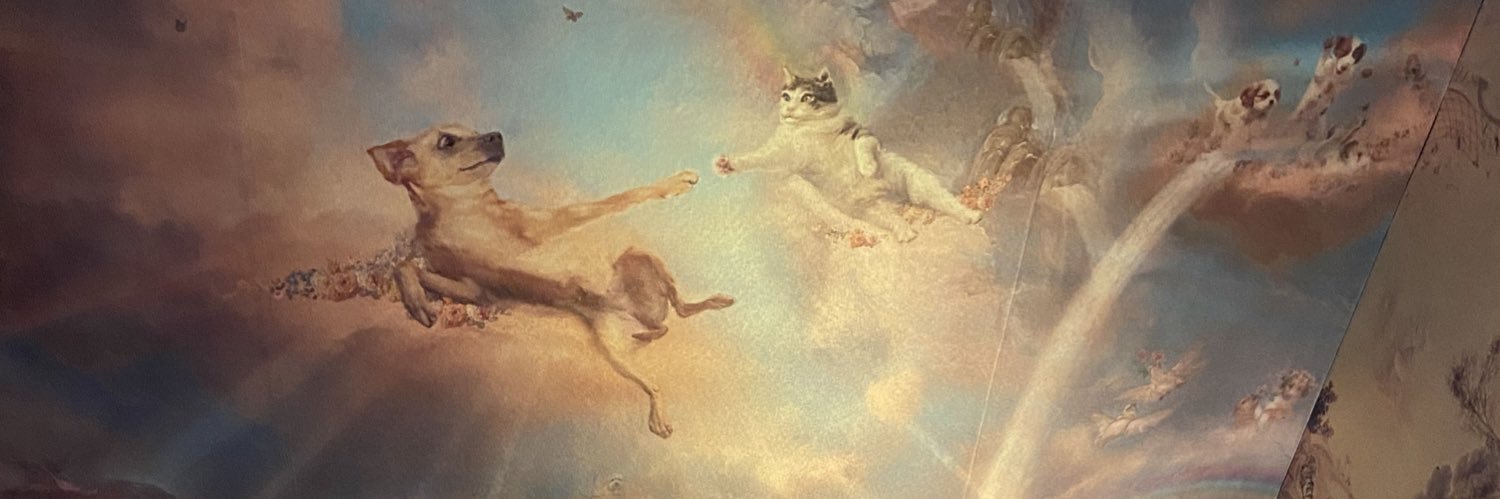 LuLuNicoleee's profile banner image