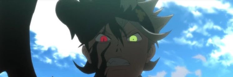 Chancellor Whitaker banner