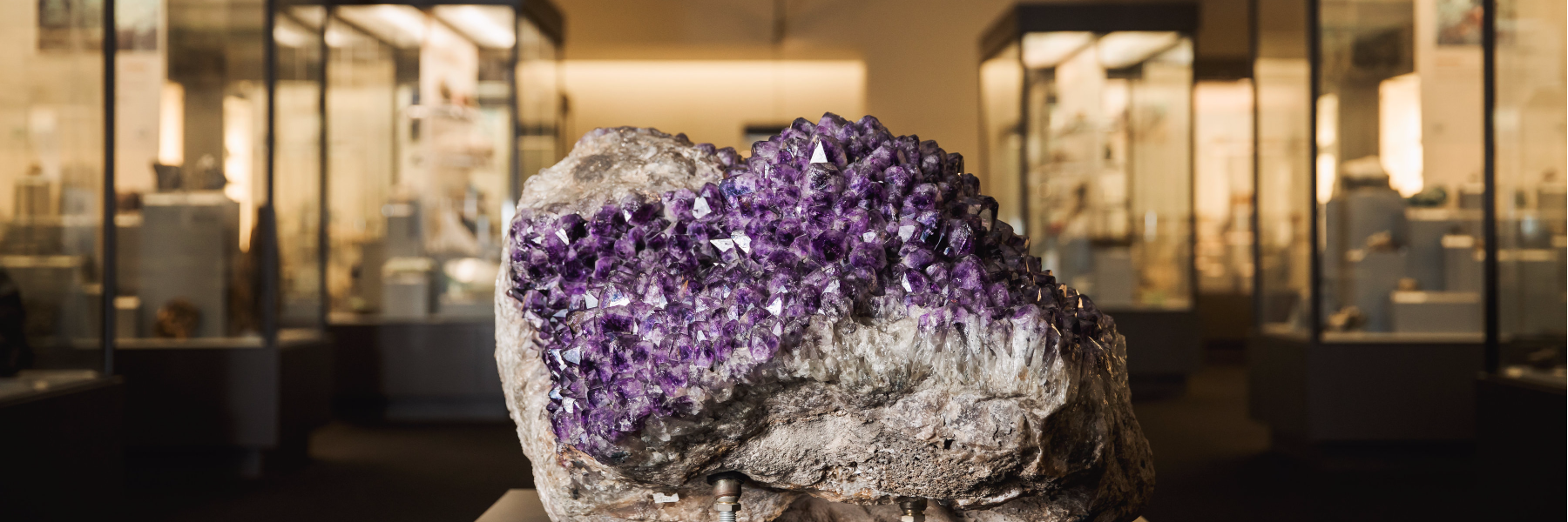 Cranbrook Science banner