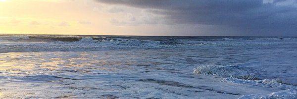 MARC_Inc0224 Profile Banner