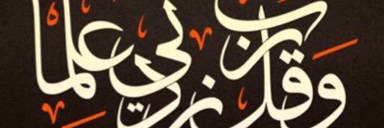dulimiii's profile banner image