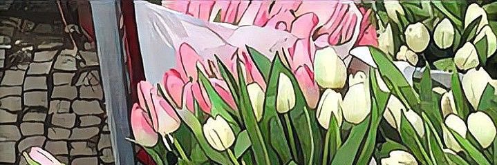 mamiifaatiima's profile banner image