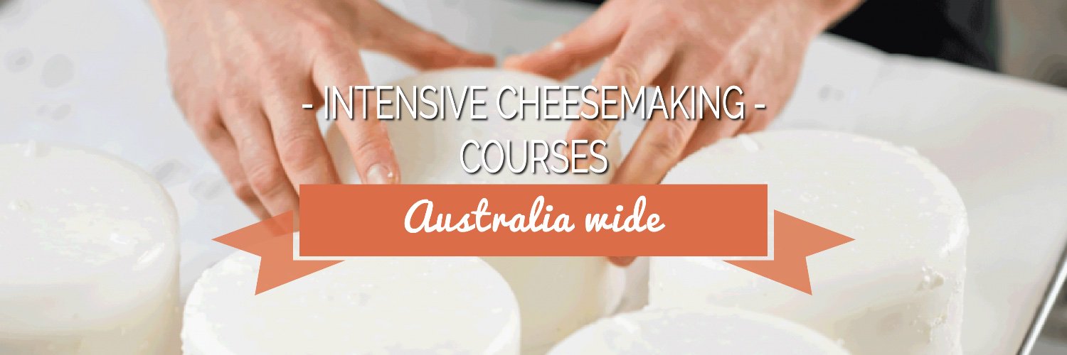 cheesemaking1's profile banner image