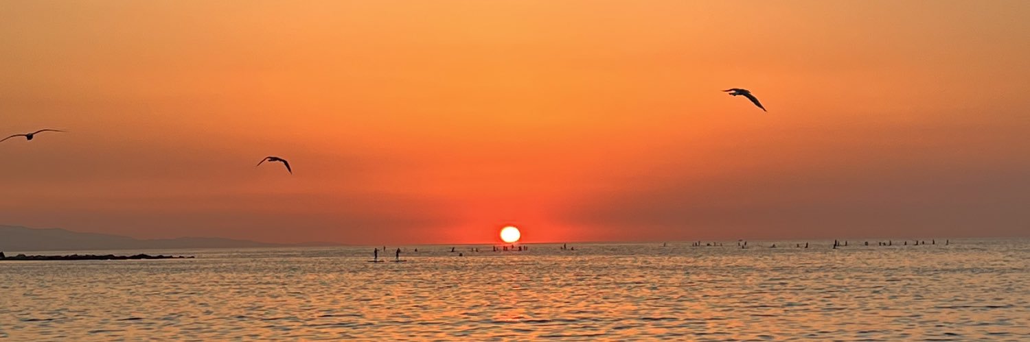 marybayer3's profile banner image