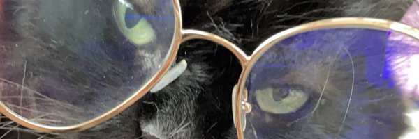 bullebrune Profile Banner