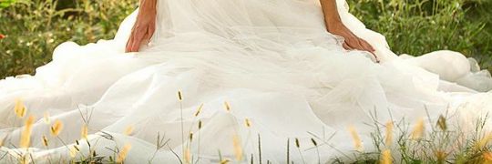 shellong_'s profile banner image