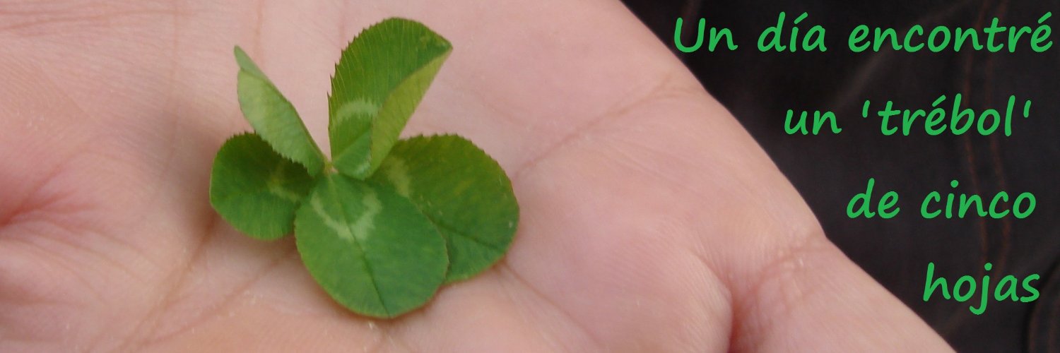 epriequin's profile banner image
