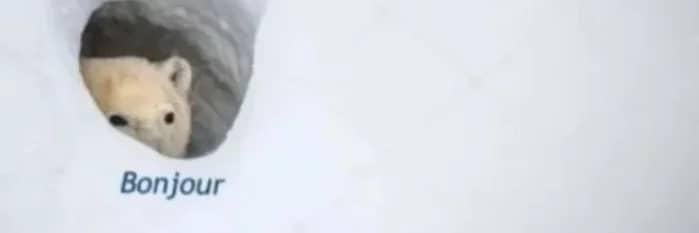 taebubblen's profile banner image