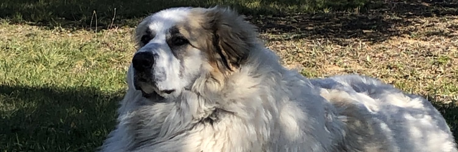 TillyKathy's profile banner image