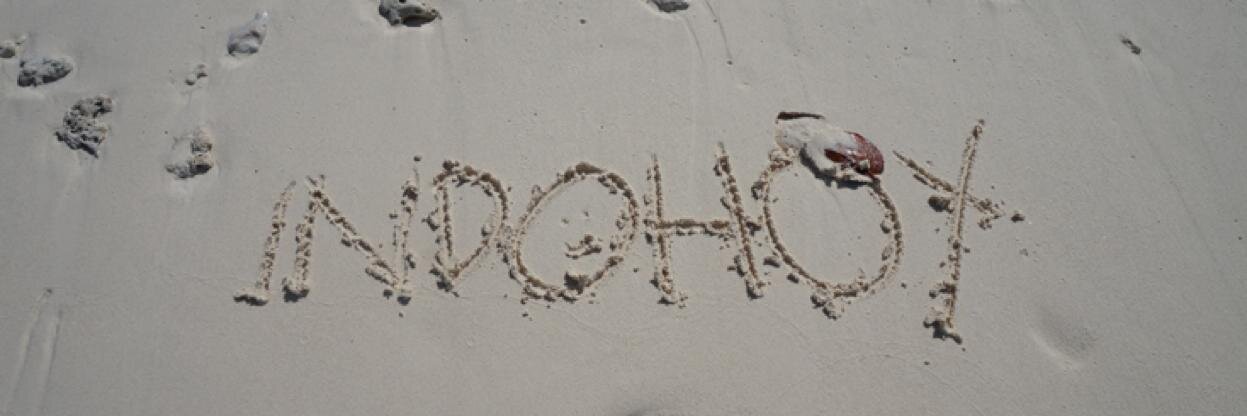 indohoy's profile banner image