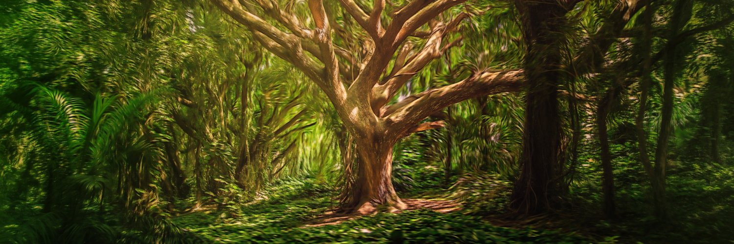 velevila's profile banner image