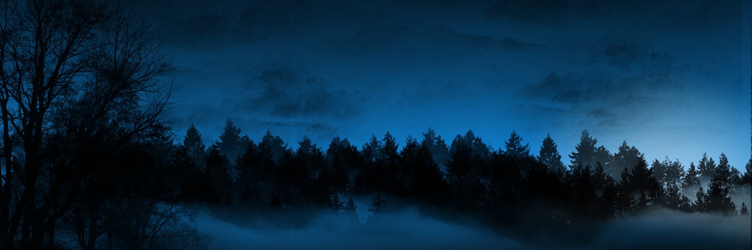 Hamou Tarik banner