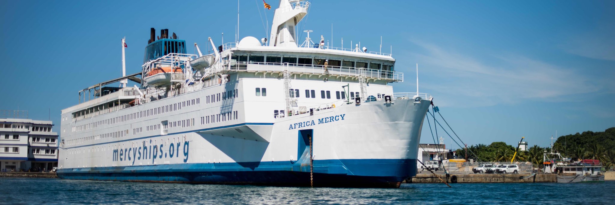 Roger Vassnes banner