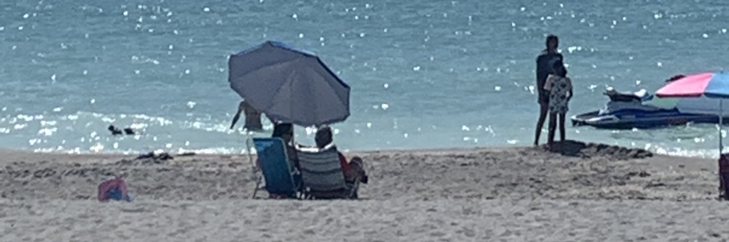 Lisa N. Timmerman banner