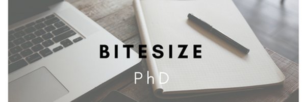 BitesizePhD Profile Banner