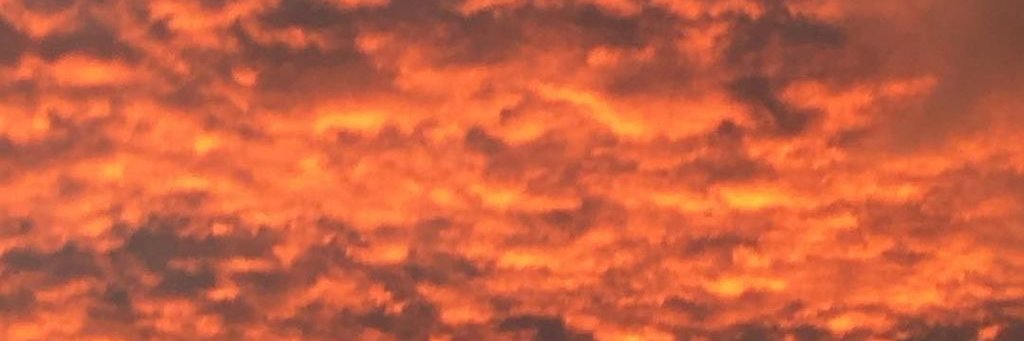 TheSkyLibrary's profile banner image