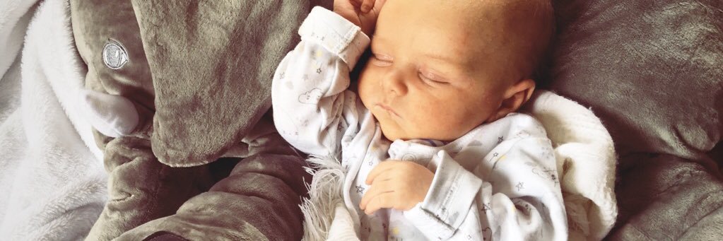 Nicola Thompson banner