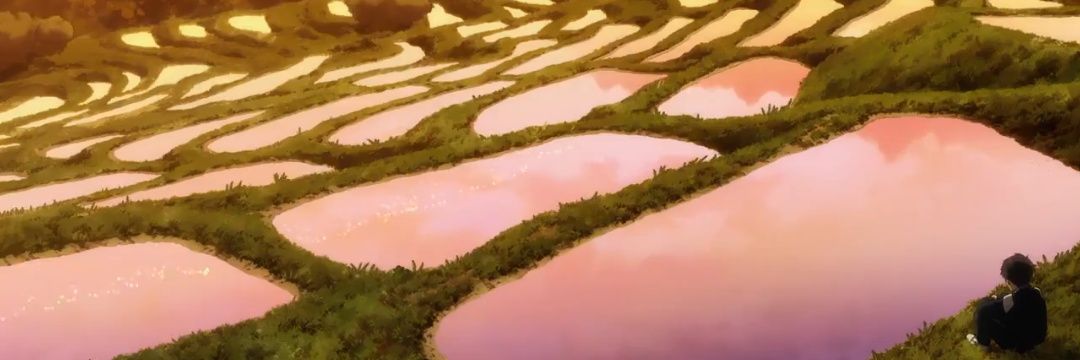 meshi2k's profile banner image