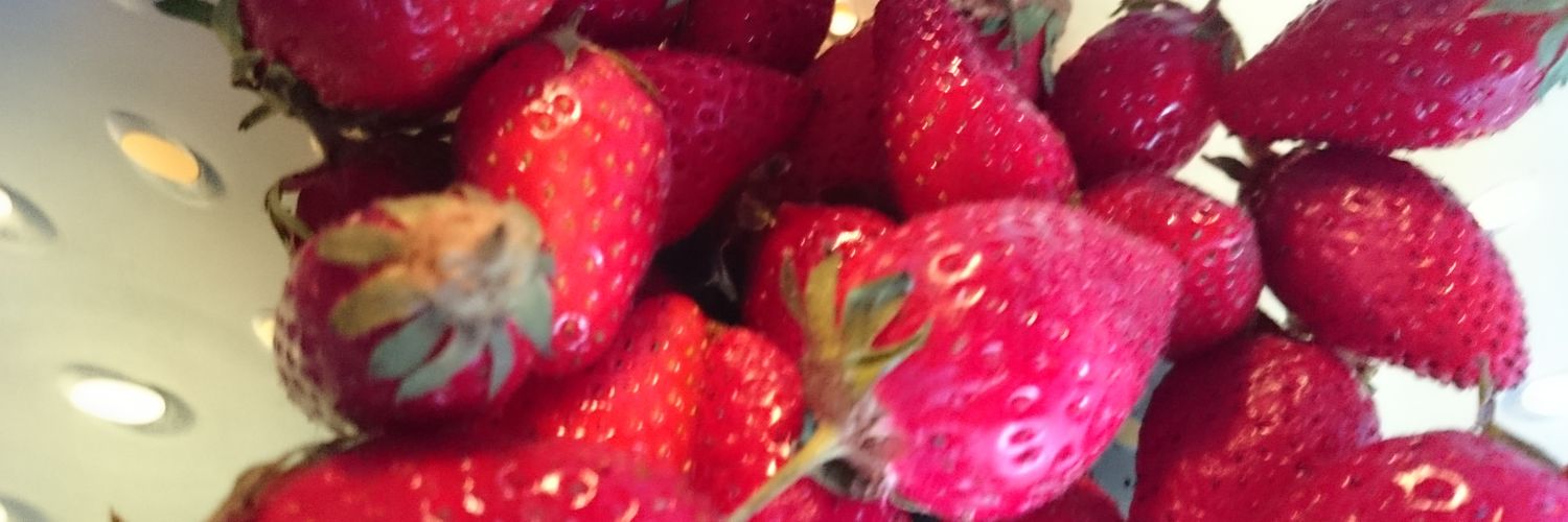 SabineMasterche's profile banner image