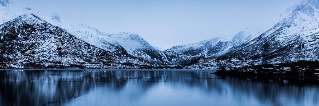 Business Finland Norge banner