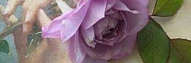 LilimaePothier's profile banner image