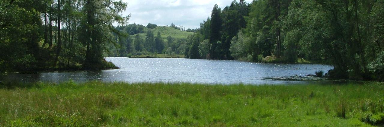 Dave Skingsley banner