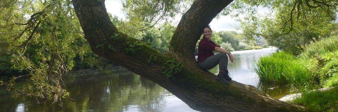 Dr Paula Tierney banner